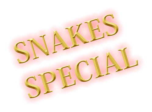SNAKES SPECIAL